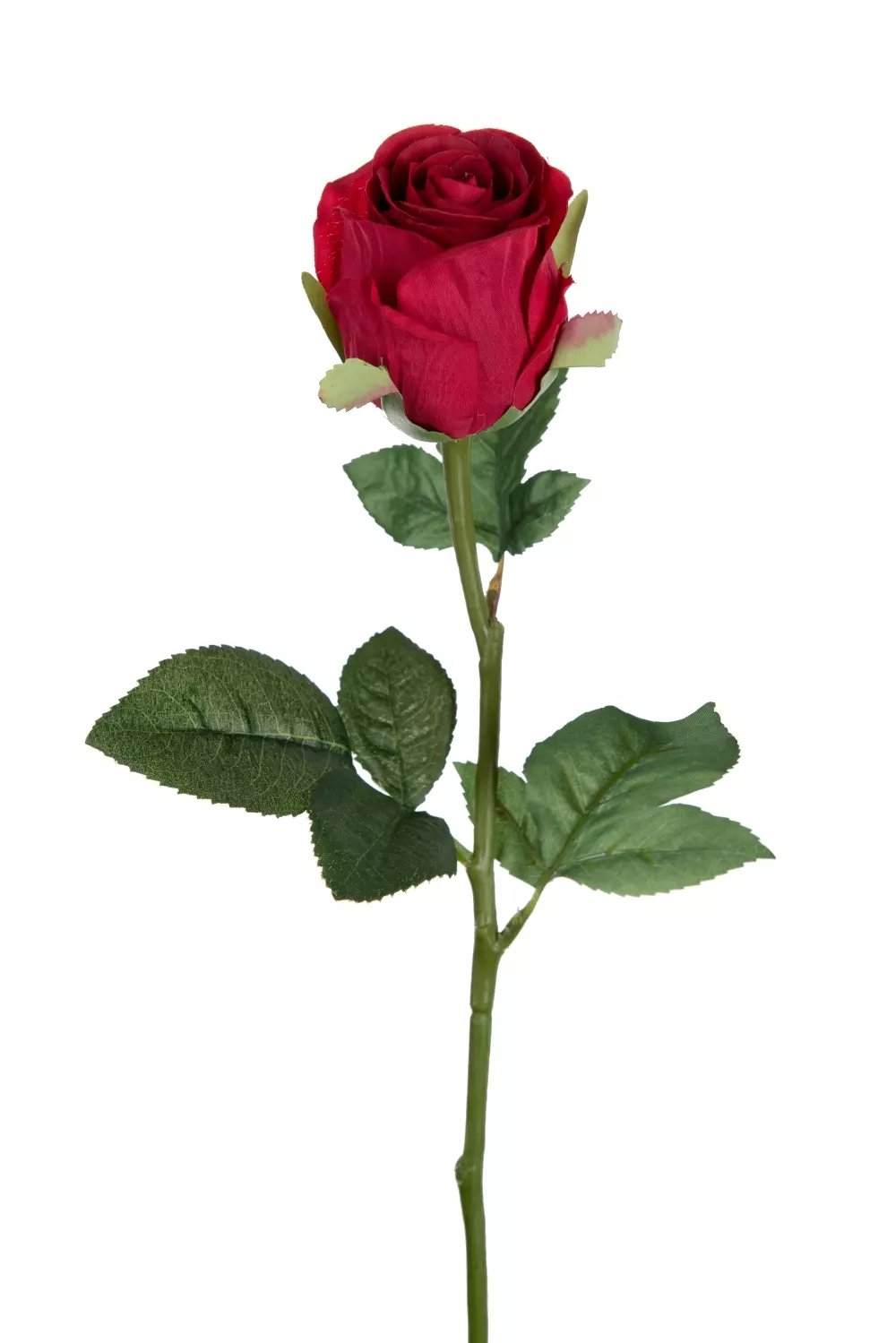 Rose Rød H50 9603-80 7330026159646 Interiør Blomster og Planter Mr Plant