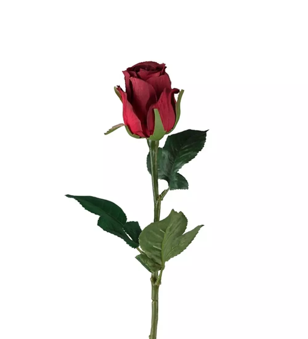 Rose Dyp Rød H50, 7330026161946, 9603-85, Interiør, Blomster og Planter, Mr Plant, Ros