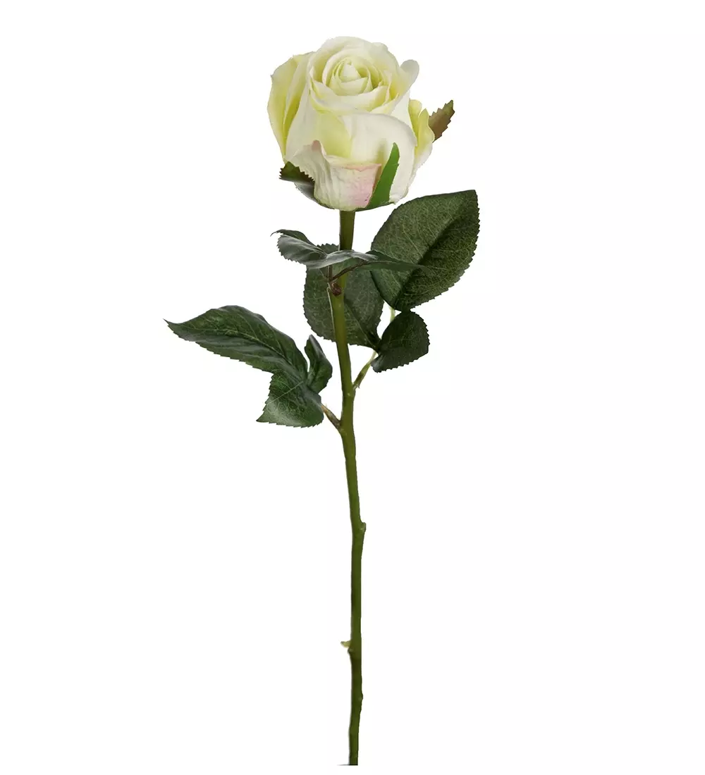 Rose Hvit 50cm, 7330026159653, 9603-90, Interiør, Blomster og Planter, Mr Plant, Ros