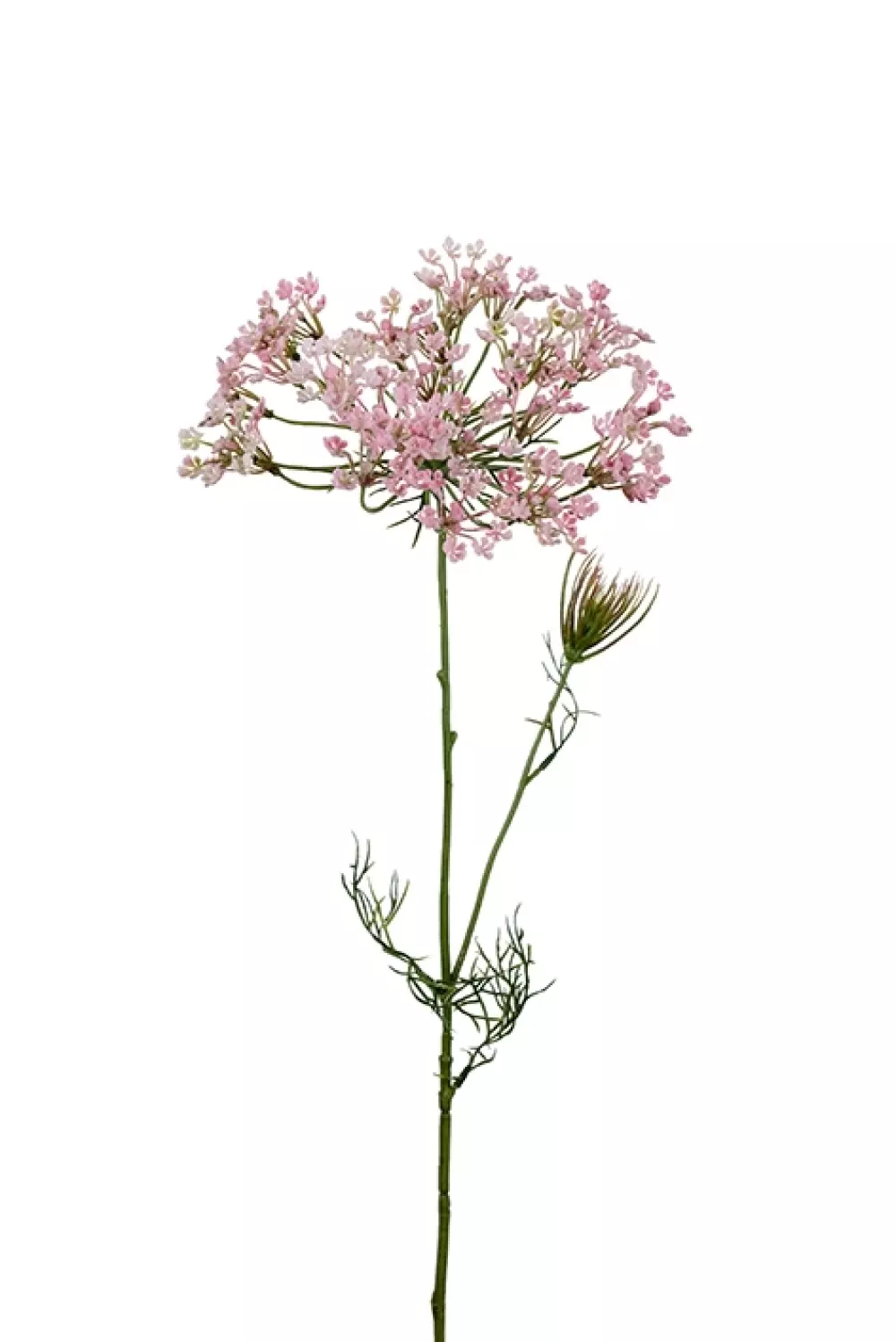 Allium H70cm, 7330026161069, 9671-20, Interiør, Blomster og Planter, Mr Plant, Allium