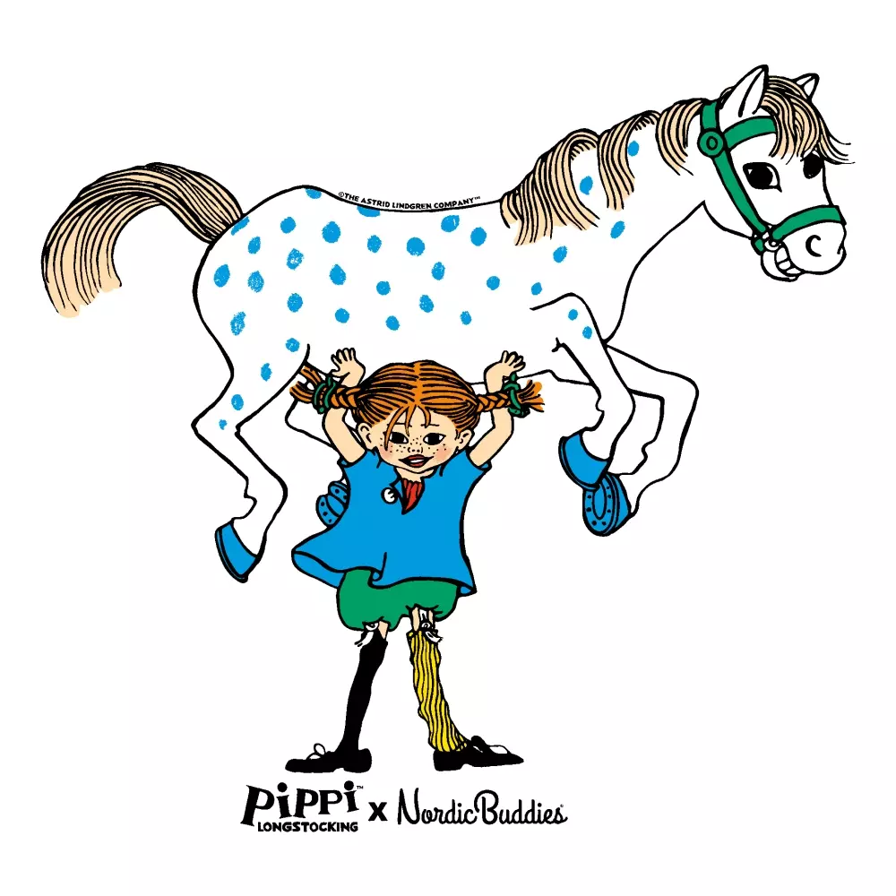 Pippi Sokker Grønn/Lilla