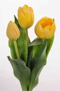 Tulipan Gul H36cm Ass