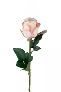 Rose Rosa H50cm
