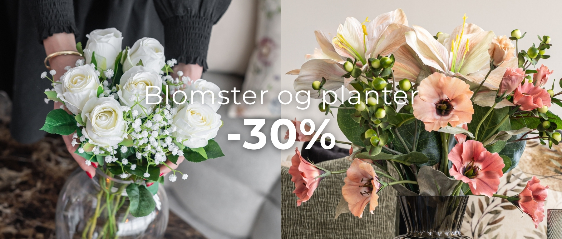 Kampanje blomster og planter