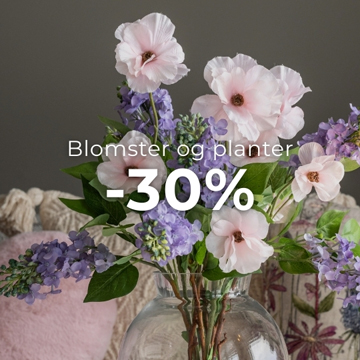 Blomster og planter på kampanje