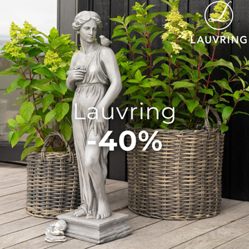 Lauvring