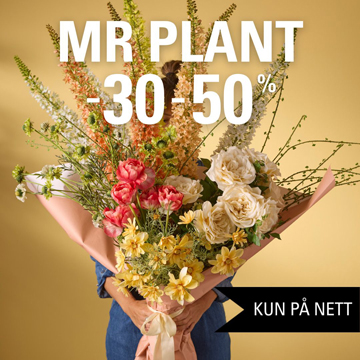 Mr Plant