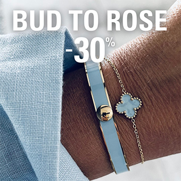 Bud to rose