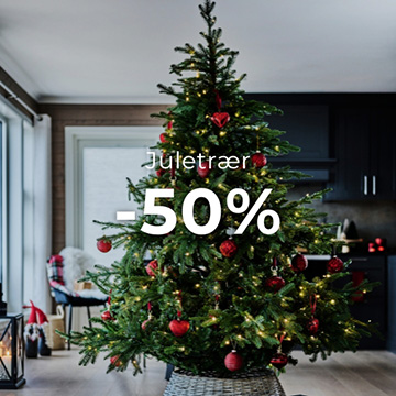 Juletrær 50%