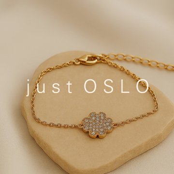 Just Oslo