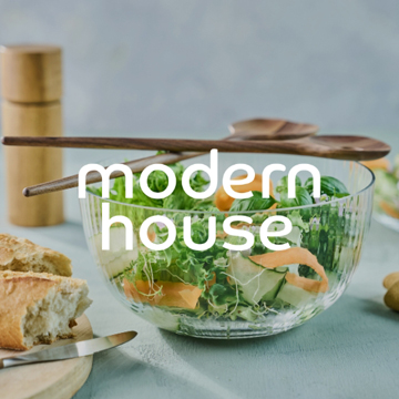 Modern House