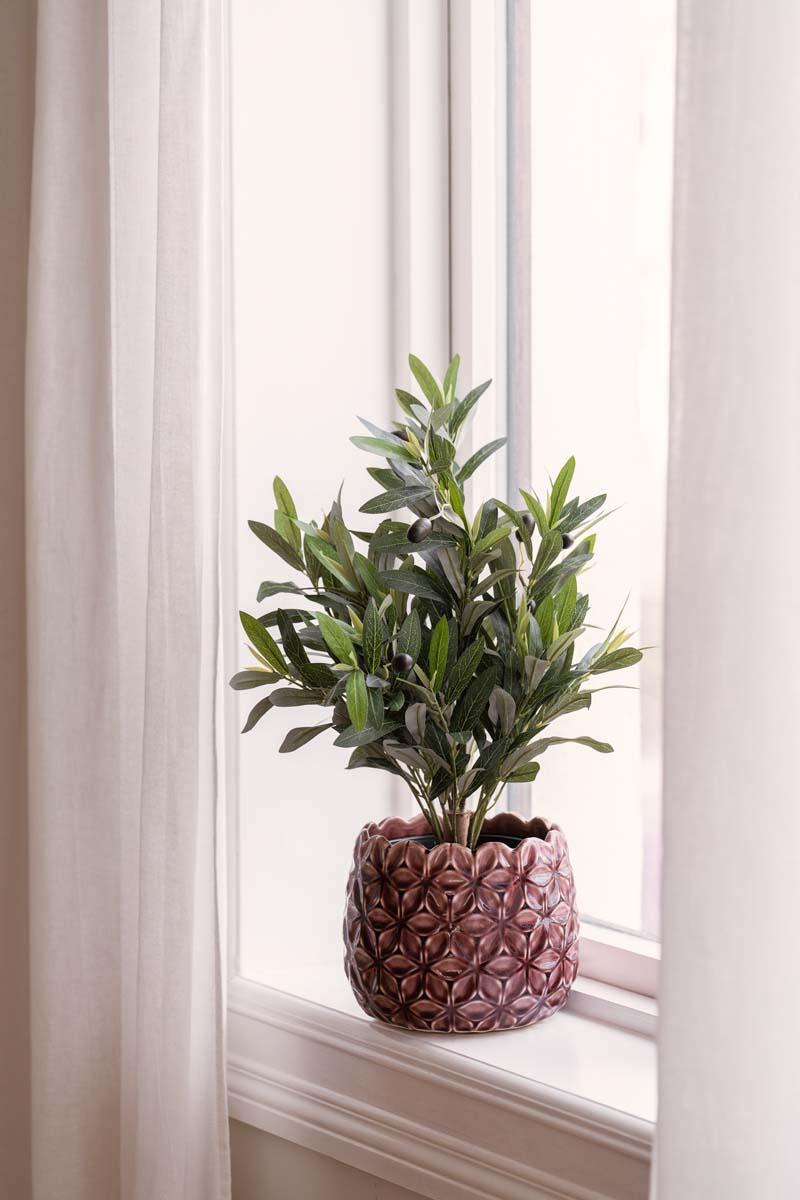 Grønn plante i potte på badet
