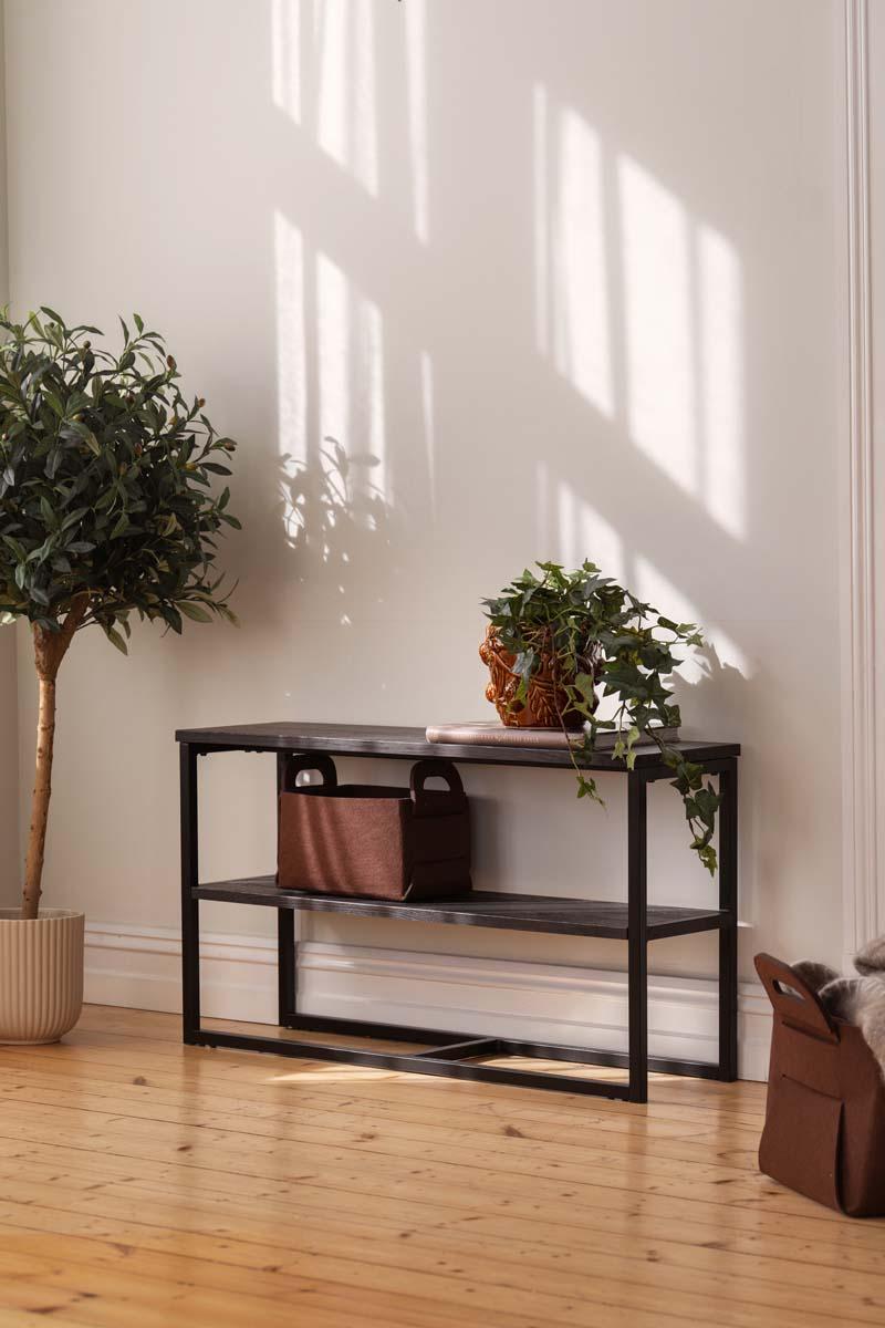 Konsollbord Lone med filtkurv og plante