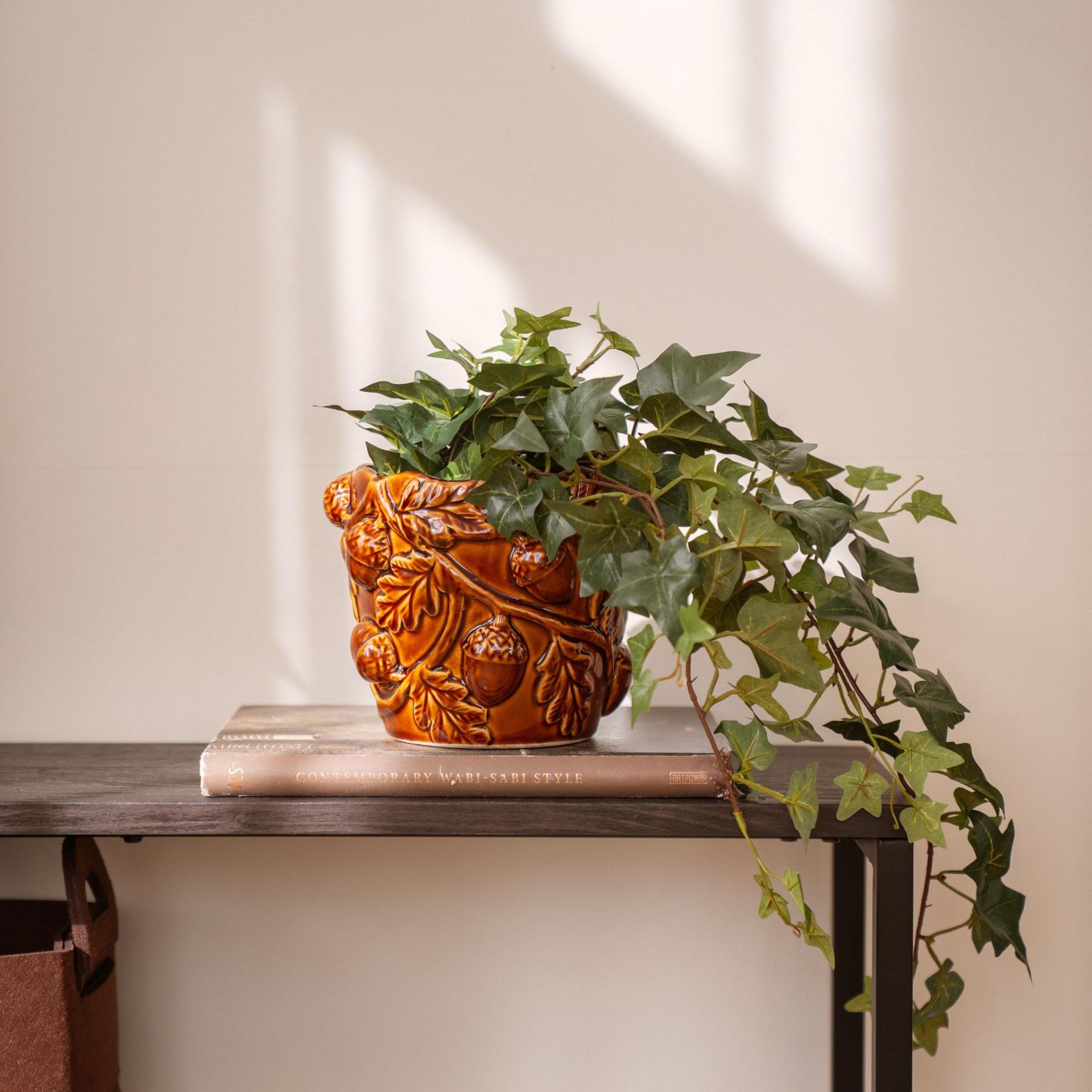 Eviggrønne planter i potter
