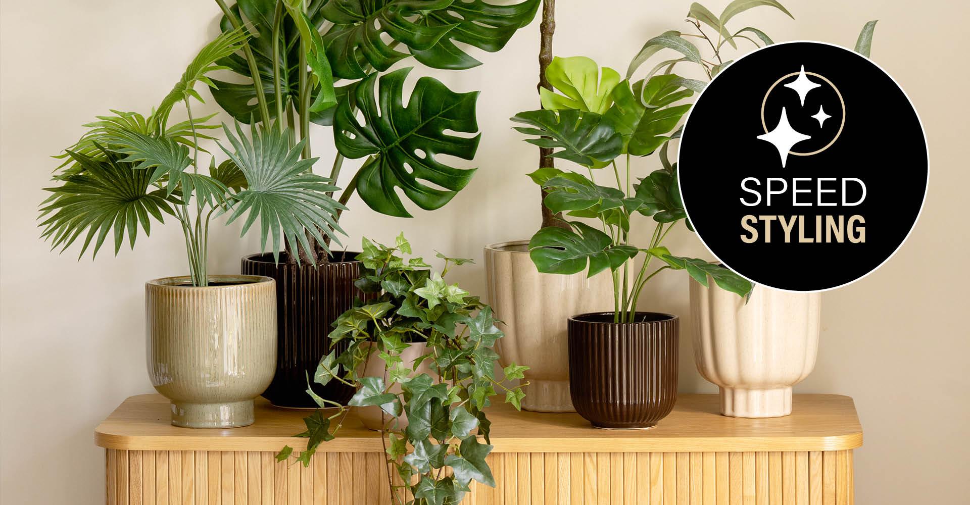 Stue med frodige grønne planter