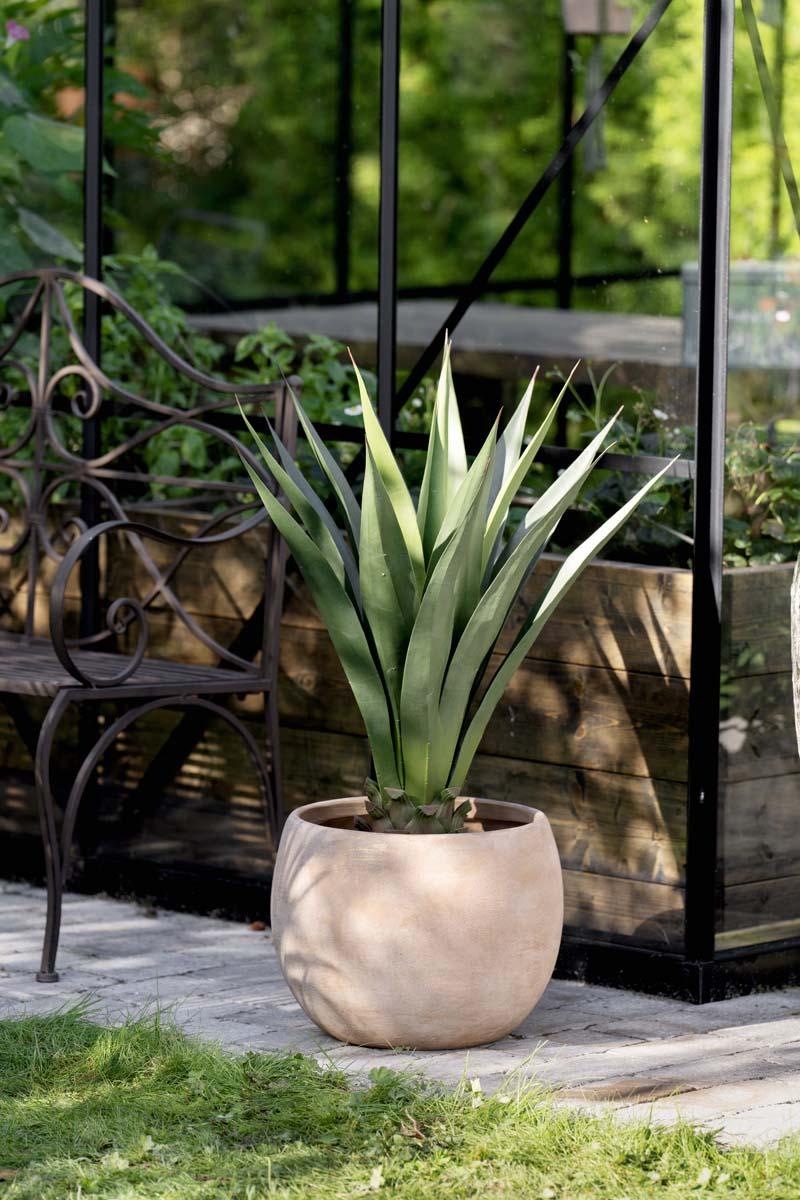 Utepotte Lydia med agave