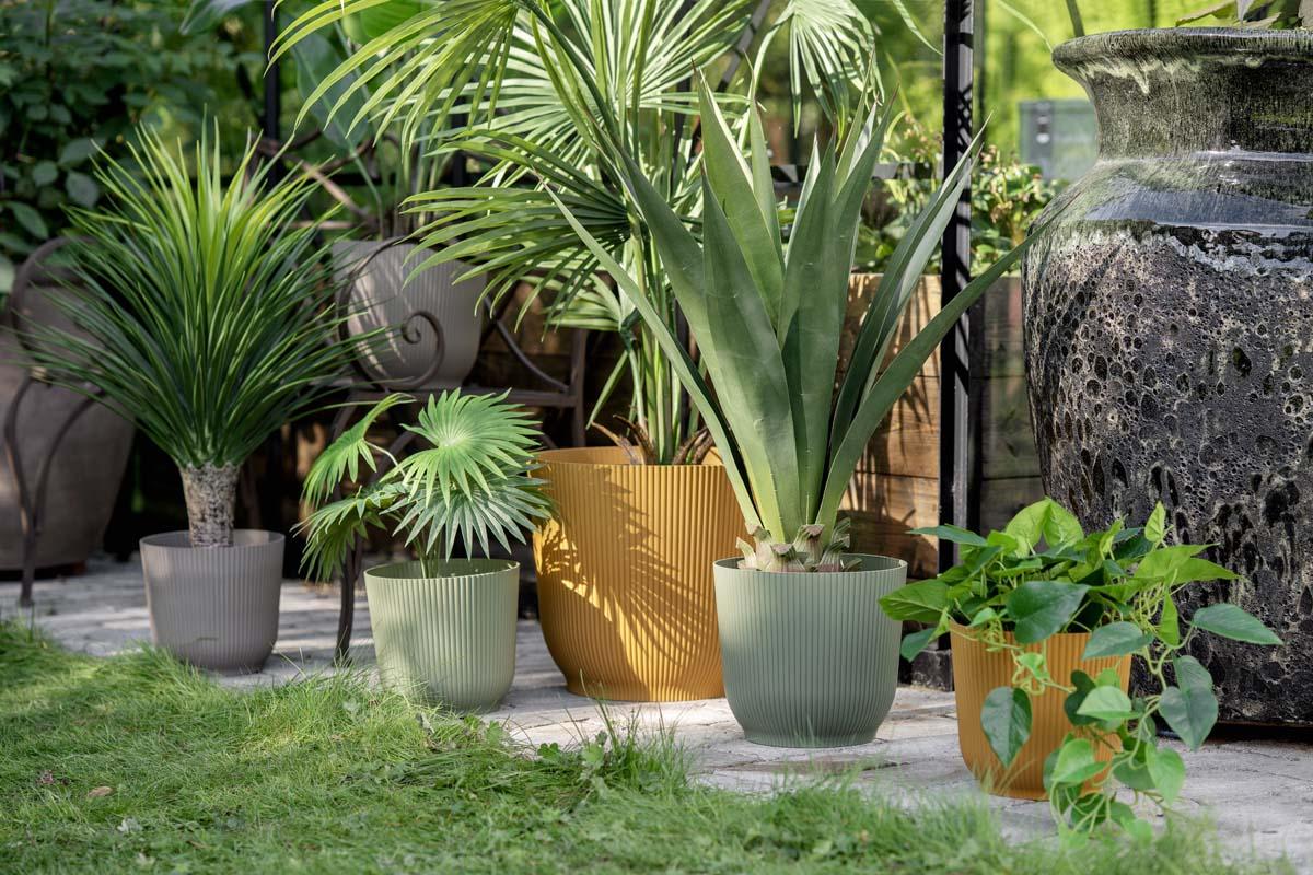 Utepotter Sofia med agave, kwai palme og banantre