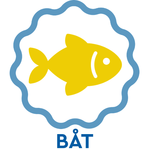 B&aring;t