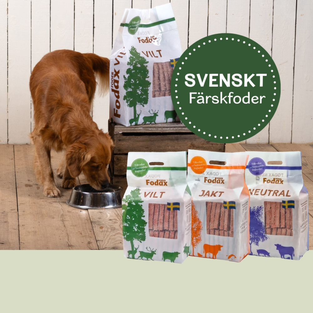 Hund, hundfoder, färskfoder, frysfoder, djurbutik, stallmagasinet, mjölby, östergötland, motala, skänninge, vadstena