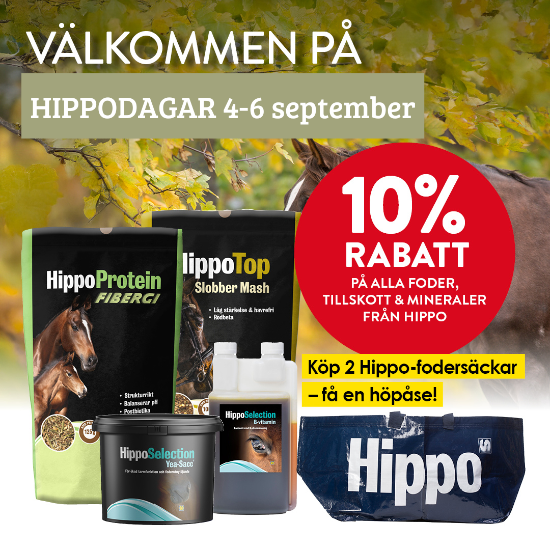 Hippo