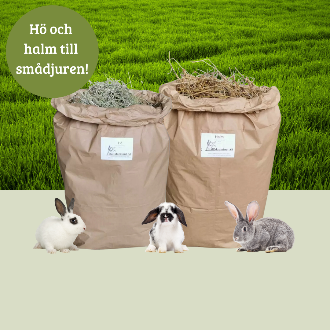 Kanin, kaninhö, kaninhalm, smådjur, hö