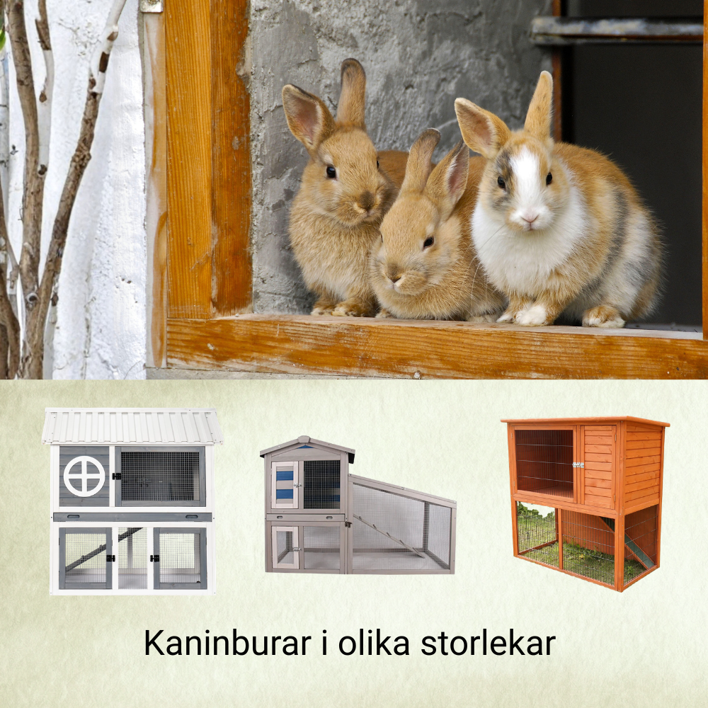 Kanin, utebur, kaninbur, kaninfoder, smådjursbur