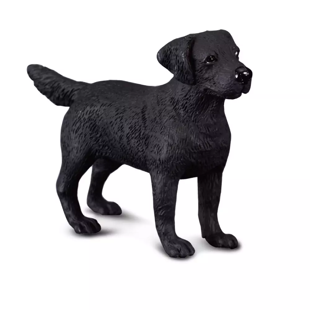 LABRADOR RETRIEVER M 88076, 4892900880761, 1000010487, Inneleker, Dyr, COLLECTA, 48620, FH-48620