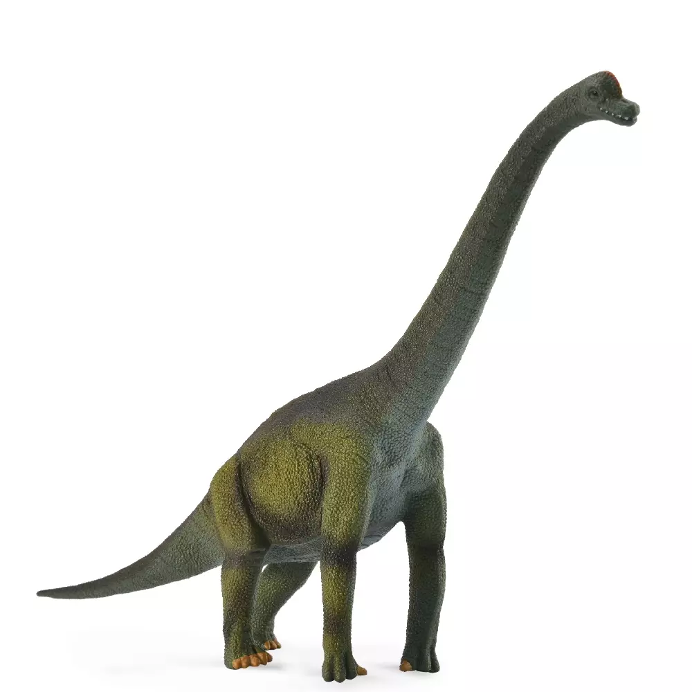 BRACHIOSAURUS L 88121, 4892900881218, 1000018693, Inneleker, Dyr, COLLECTA, 48810, FH-48810