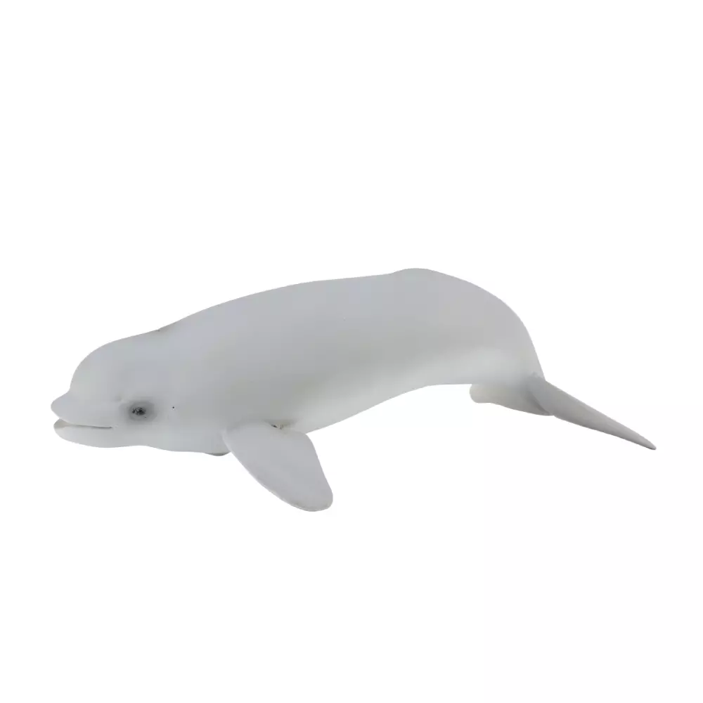 BELUGA HVAL UNGE M, 4892900886176, 1000032754, Inneleker, Dyr, COLLECTA, 88617, FH-88617