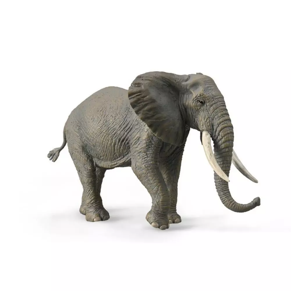 COLLECTA AFRIKANSK ELEFANT - XL, 4892900889665, 1000043777, Inneleker, Dyr, COLLECTA, DYR COL AFRIKANSK ELEFANT - XL, 88966